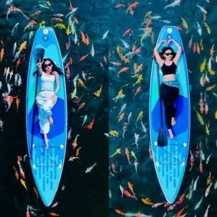 Paddle Board